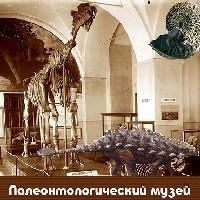Палеонтологический институт РАН